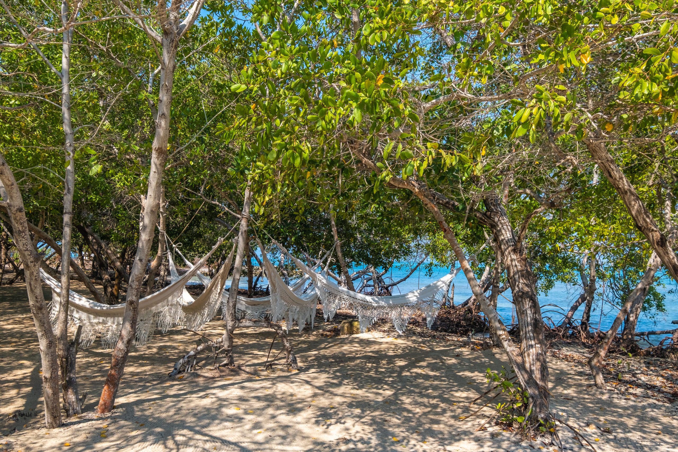 a hammock set up on a sandy beach.