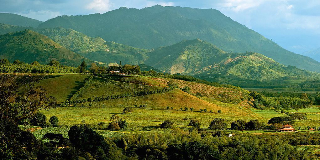 a lush green valley with mountains in the background.
