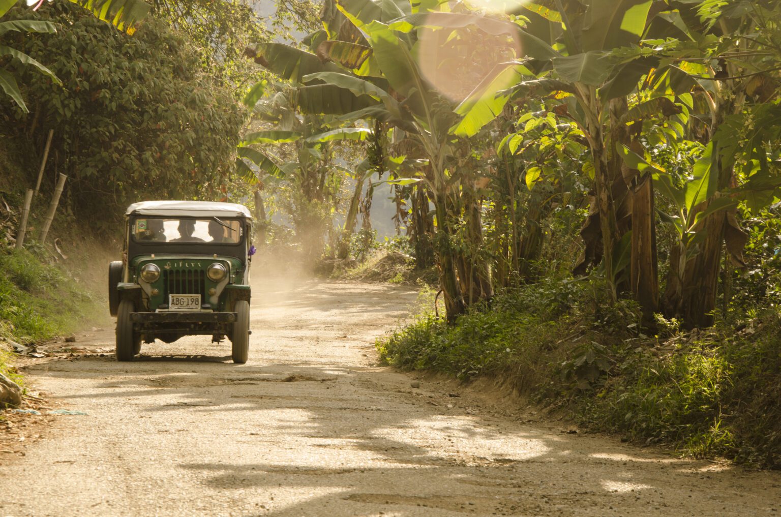 a jeep driving down a dirt road surrounded by trees.