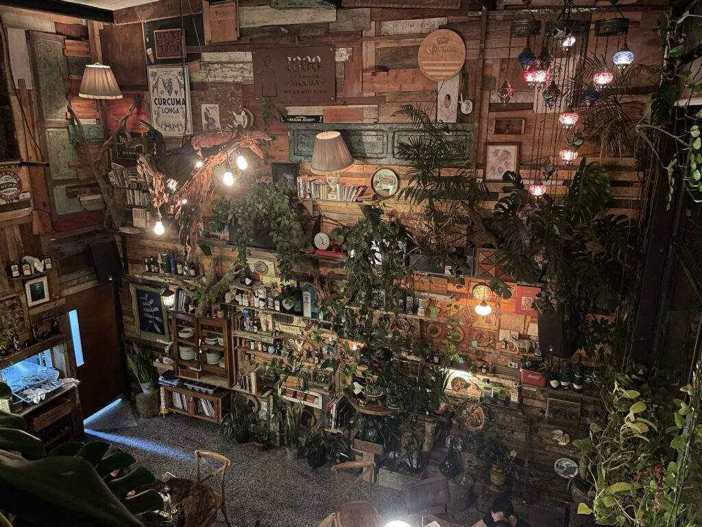 Décor inside of the Alambique Restaurant that is highlighting a living wall adorn plants, books, light fixtures and an assortment of ordainments. 