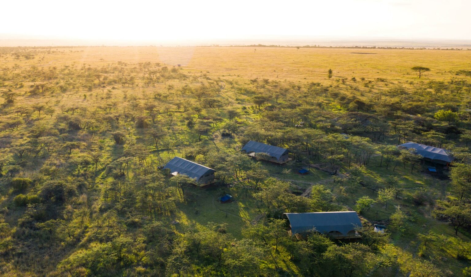 Aerial view of Mara Expedition Camp