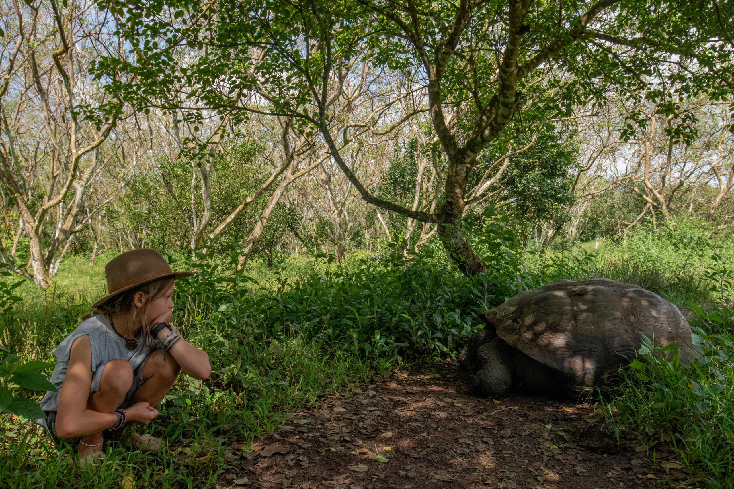 A child crouching near a giant tortoise