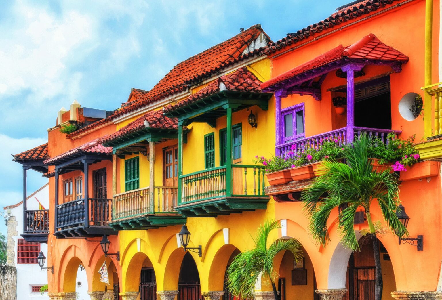 a row of multicolored buildings with palm trees in front of them.