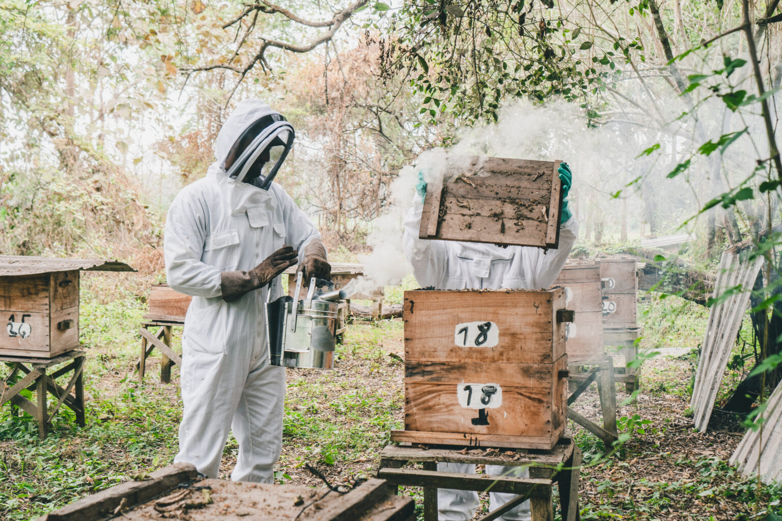 A person smoking a beehive in a beekeeping workshop