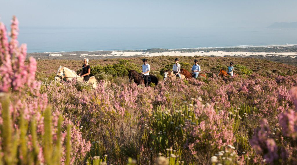 Horse riding in South Africa's Grootbos Nature Reserve, which teems with biodiversity.
