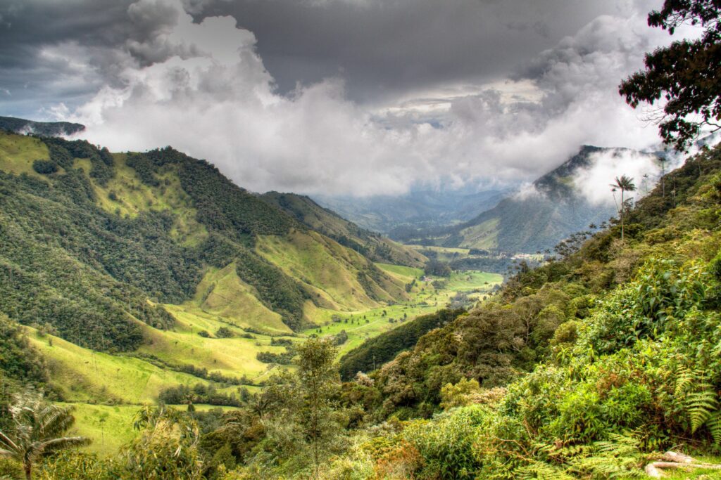 Cocora Valley, Eje Cafetero, Colombia