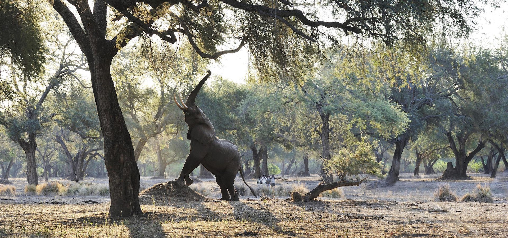 extraordinary journeys africa