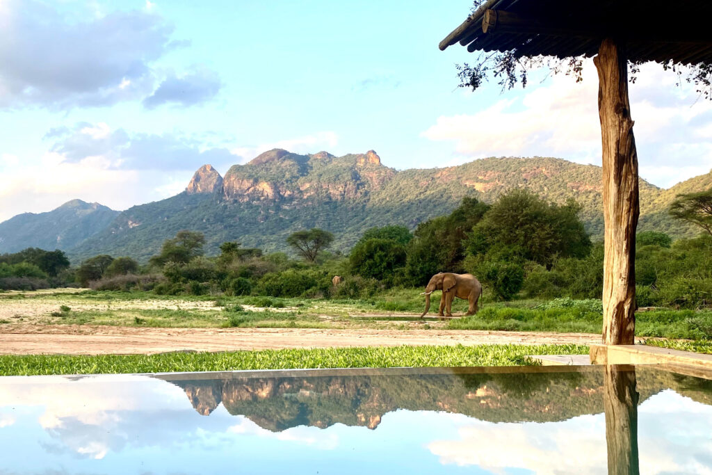 An elephant grazes near Kalepo Camp in Samburu, Kenya with the magnificent backdrop of the Matthew’s Mountains.