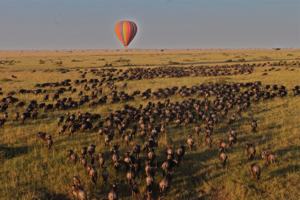 balloon safari location