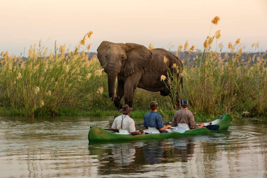 People on a mokoro safari with an elephant