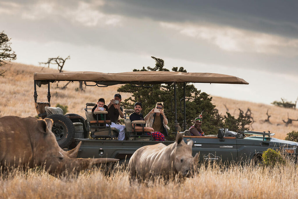 a rhino in front of a safari vehicle