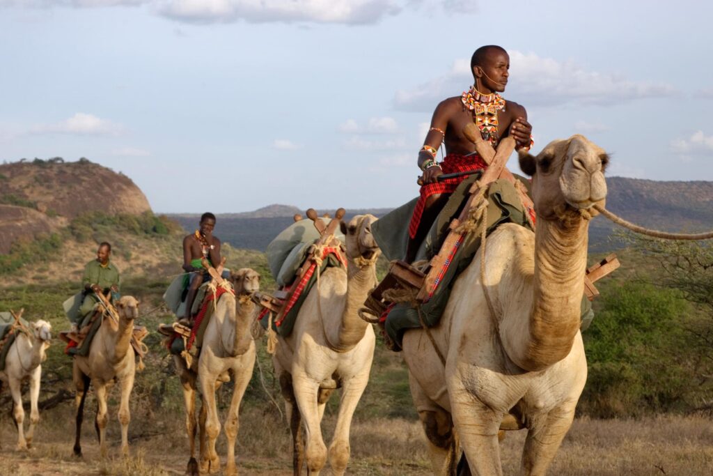 camel riding in kenya