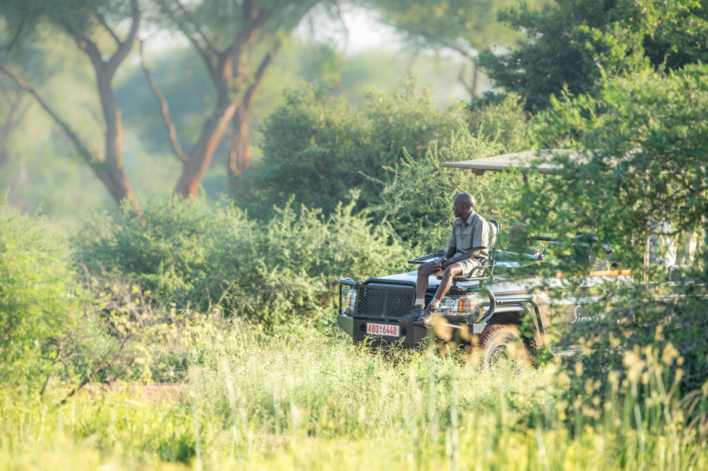 A tracker is infinitely more valuable in secret season when the bush thickens with leaves and tall grasses. Image courtesy of Singita Pamushana Lodge, Zimbabwe.