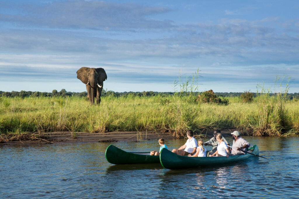 Tembo Plains guests get up-close to an elephant on a Zambezi River canoe safari. 