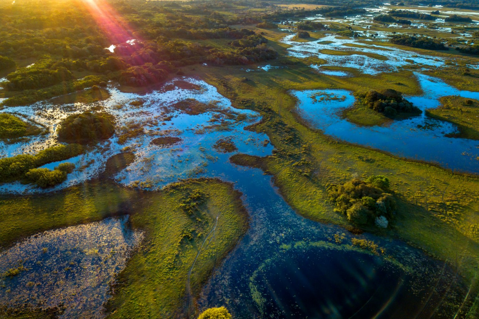 Areal image of wetlands