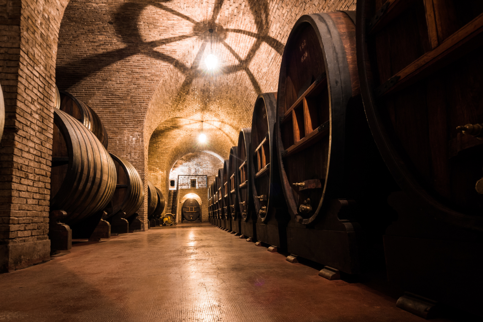 Wine barrels in brick room