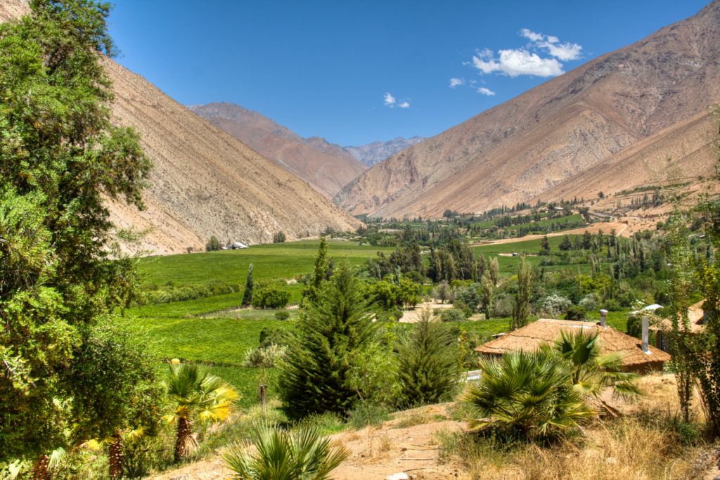The bright greens of vineyards and trees contrast against Elqui Valley's blue skies and arid mountains. 