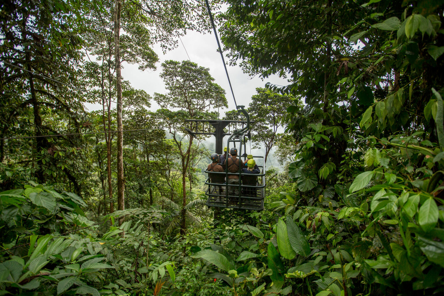 Five people on a zip line in a jungle