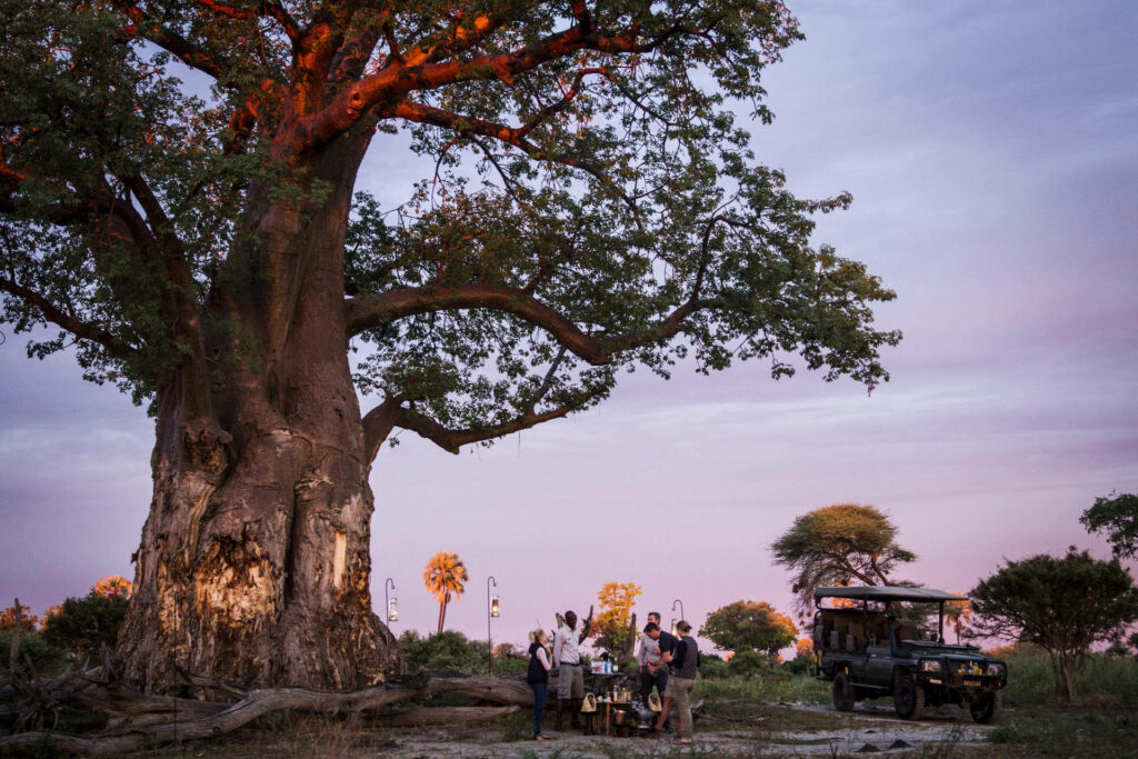 botswana okavango delta luxury safari