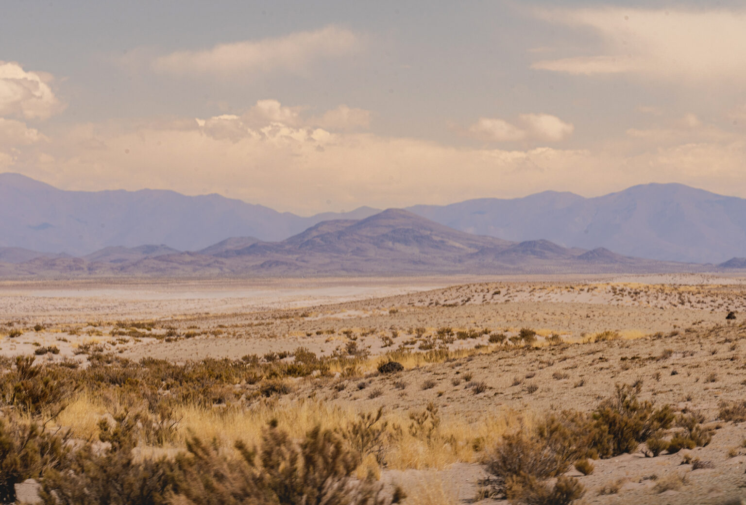 Desert landscape with mountains in the distance