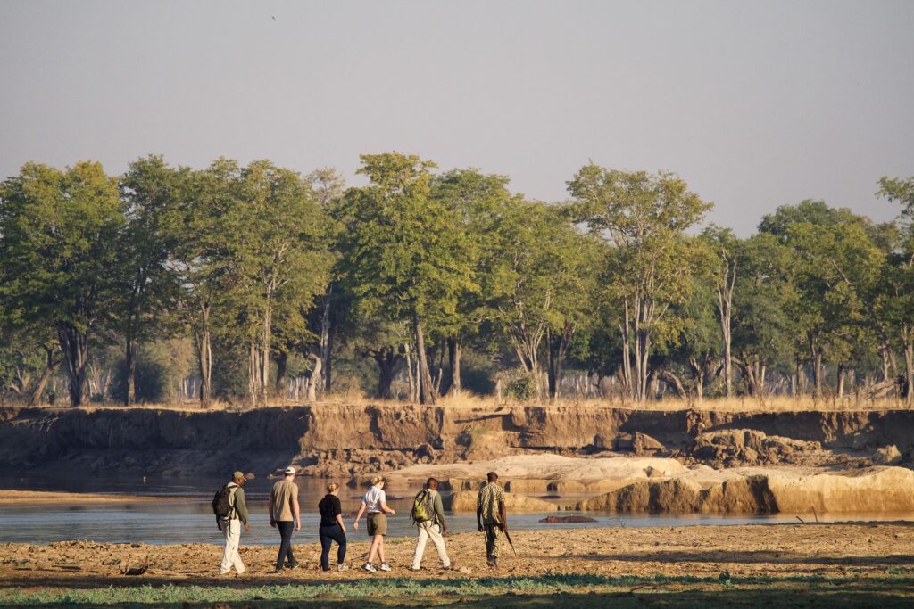 People take a walking safari in Zambia