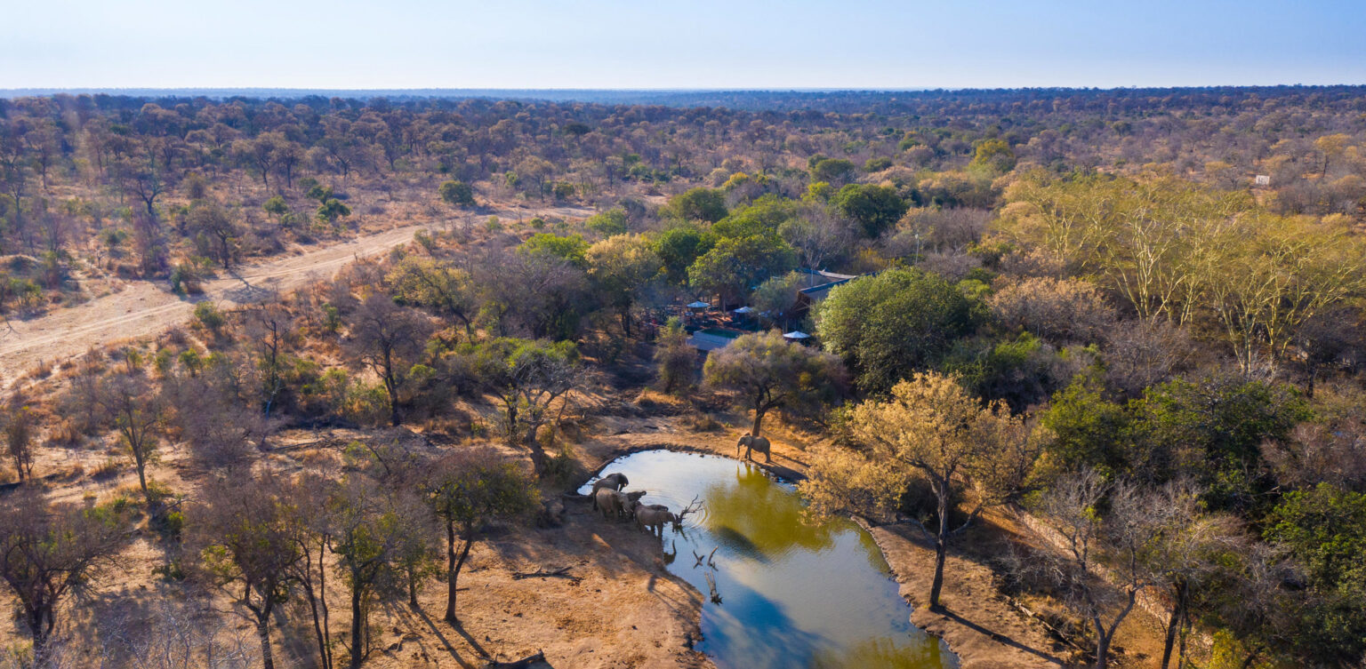 Serondella Safari Lodge in Thornybush Private Game Reserve, Greater Kruger
