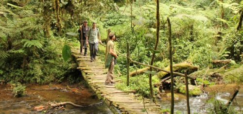 three people on a bridge over a stream in Uganda