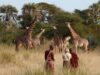 luxury safari in tanzania
