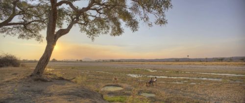 riverbed with large tree and couple sitting in two chairs