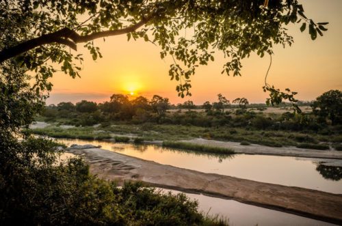 river bed views with trees and sun set