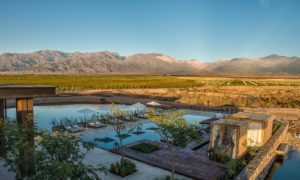 pool at Vines overlooking the andes mountains