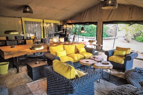 cozy lounge tent at Forest Chem Chem with bright yellow pillows
