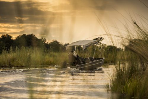 Plan your Trip, Vumbura Plains Camp