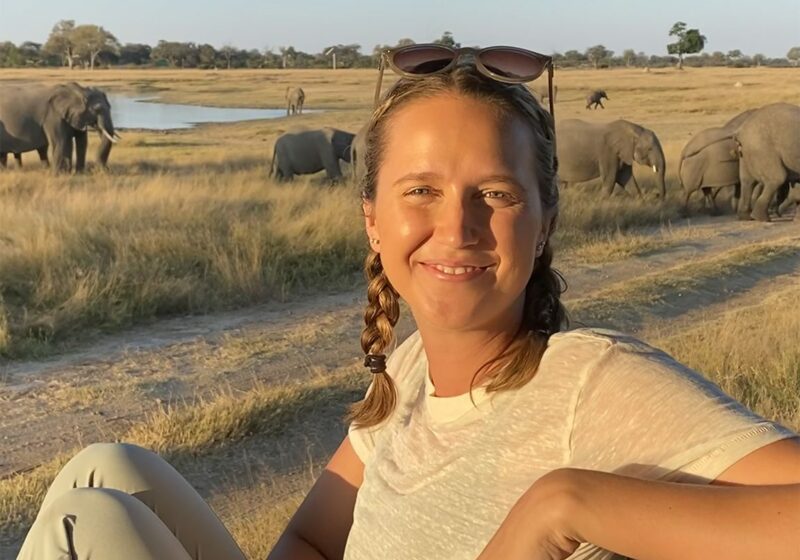 A woman sitting on a bench in front of a herd of elephants.