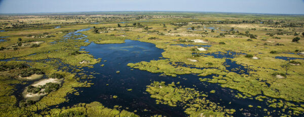 Wildlife found in the Duba Plains Reserve of Botswana's northern Okavango Delta where Great Plains camps are situated.