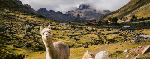 header El Albergue Sacred Valley Peru