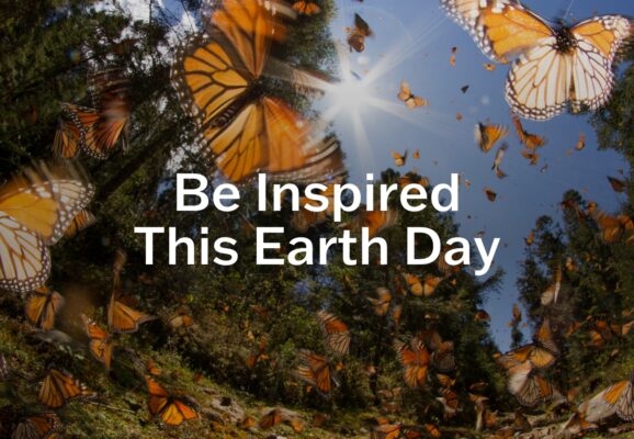 Be inspired this earth day