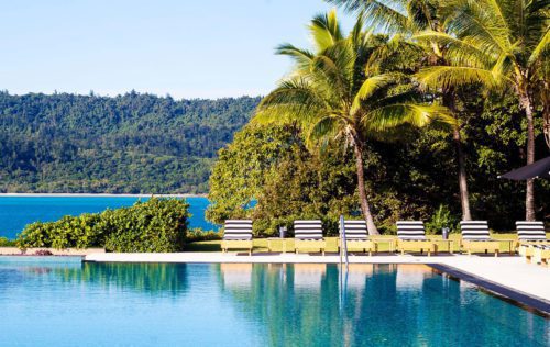 swimming pool overlooking the ocean and palm trees seen on Australia safari