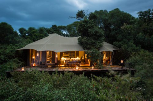 tent at mara plains nestled in the trees and illuminated by kerosene lantern