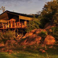 safari lodge four seasons